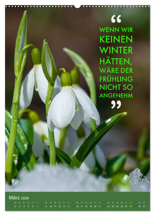 Die vier Jahreszeiten begleitet mit Sprüchen (CALVENDO Wandkalender 2026)