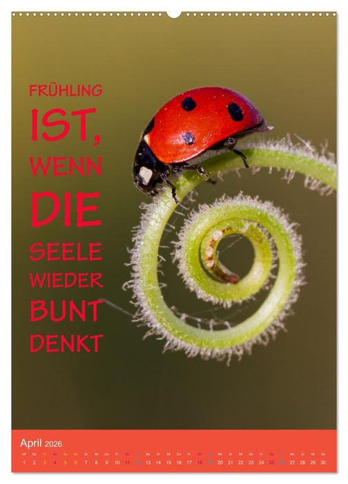 Die vier Jahreszeiten begleitet mit Sprüchen (CALVENDO Wandkalender 2026)