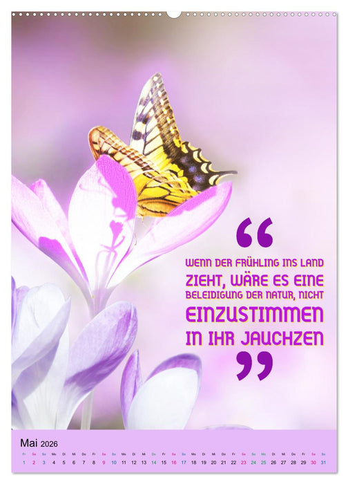 Die vier Jahreszeiten begleitet mit Sprüchen (CALVENDO Wandkalender 2026)