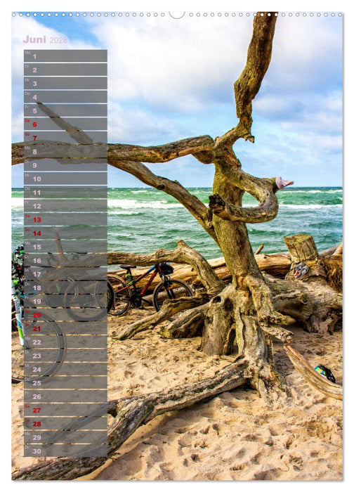 Ostsee Tour Deutschland - maritime Highlights (CALVENDO Premium Wandkalender 2026)