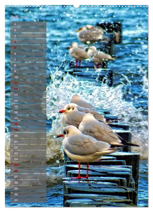 Ostsee Tour Deutschland - maritime Highlights (CALVENDO Premium Wandkalender 2026)