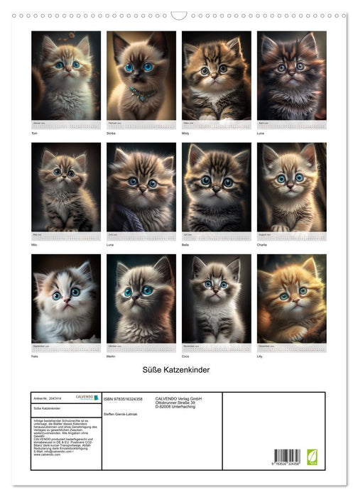 Süße Katzenkinder (CALVENDO Wandkalender 2026)