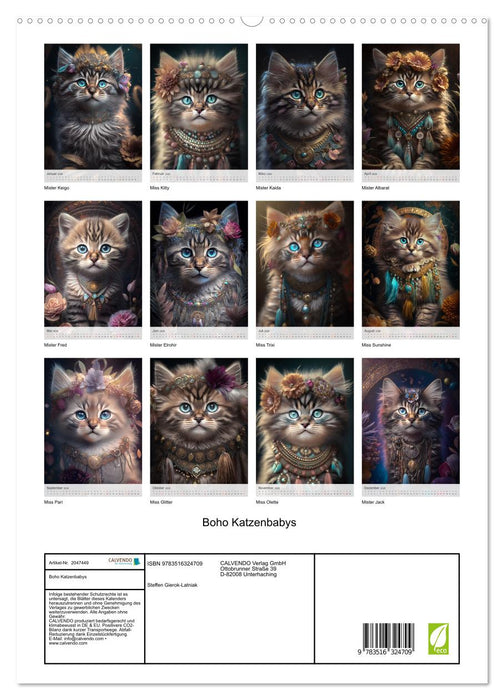 Boho Katzenbabys (CALVENDO Premium Wandkalender 2026)