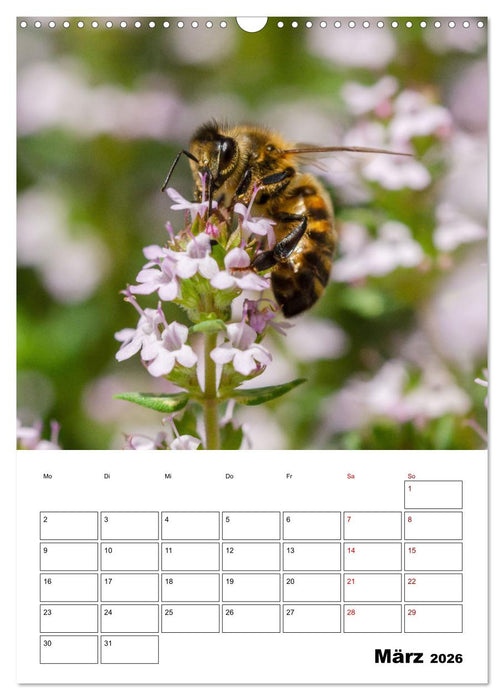 Hummeln und Bienen Terminplaner (CALVENDO Wandkalender 2026)