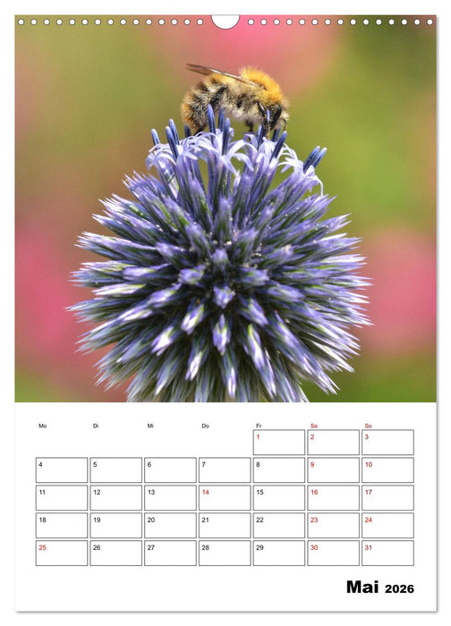 Hummeln und Bienen Terminplaner (CALVENDO Wandkalender 2026)