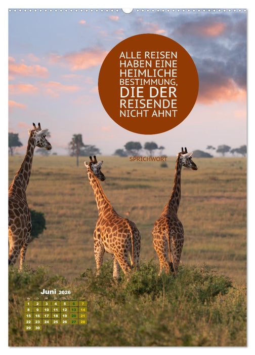 Verrückt nach REISEN Fernweh - Travel - Sprüche (CALVENDO Wandkalender 2026)