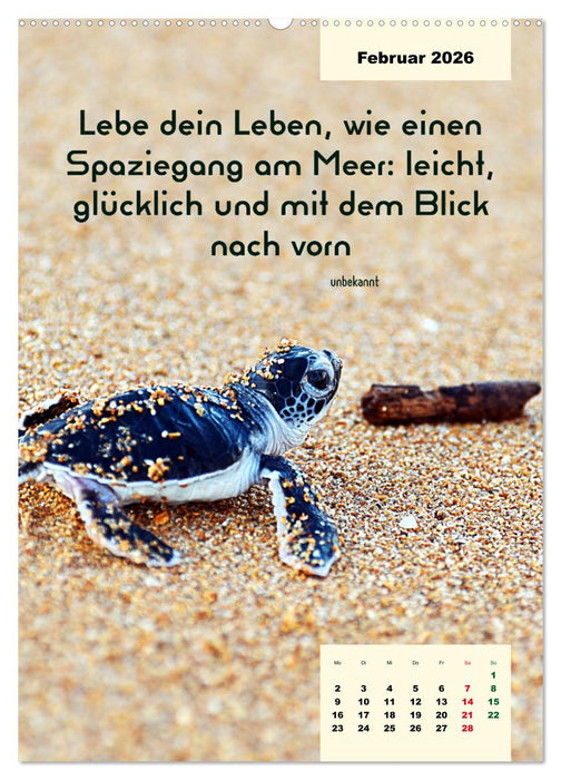 Verrückt nach MEER - Wellen - Strand - Zitate (CALVENDO Premium Wandkalender 2026)