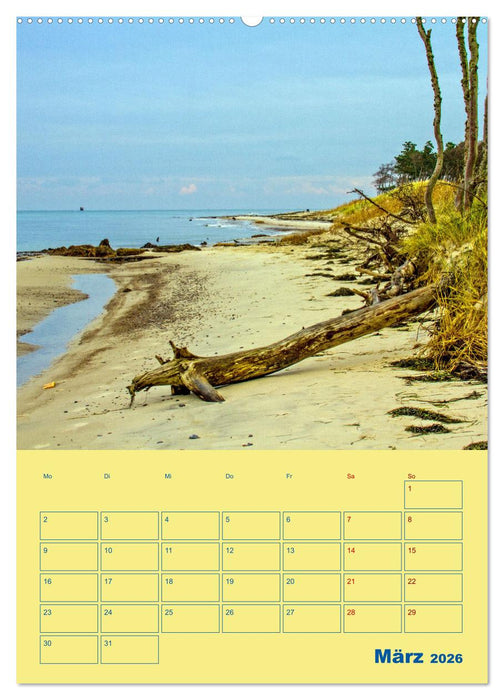 Sehnsuchtsort Fischland-Darß-Zingst (CALVENDO Premium Wandkalender 2026)