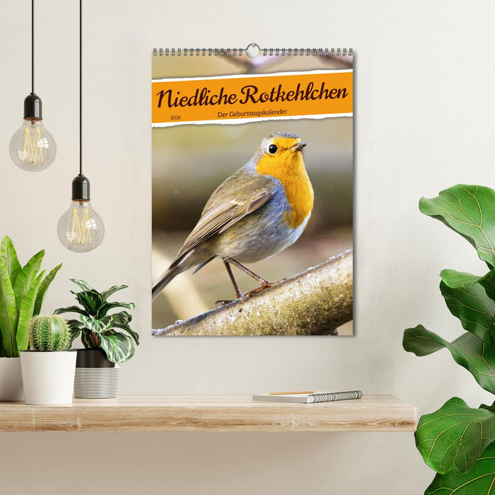 Niedliche Rotkehlchen (CALVENDO Wandkalender 2026)