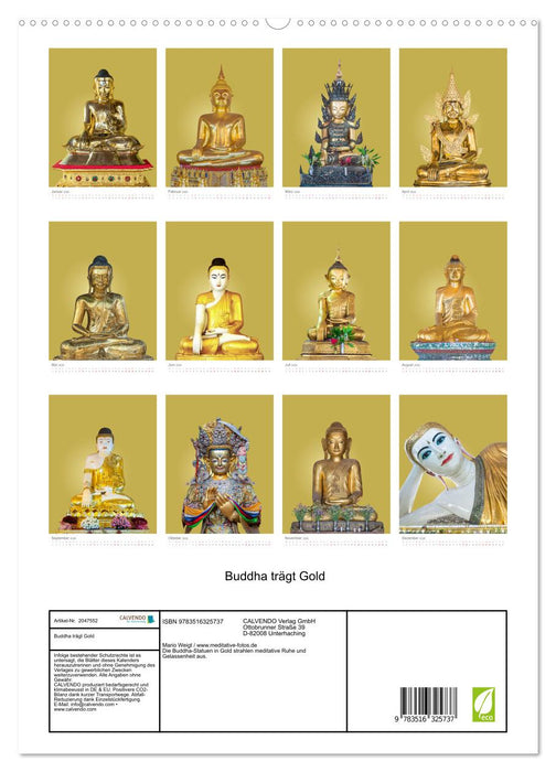Buddha trägt Gold (CALVENDO Premium Wandkalender 2026)