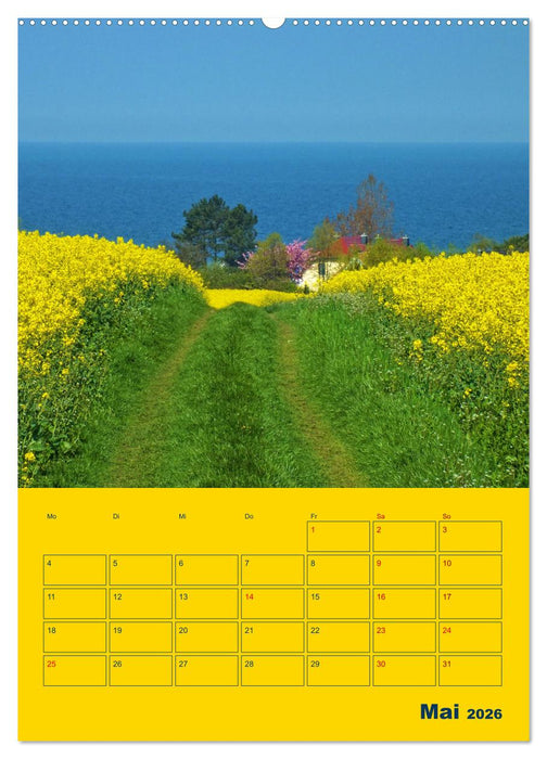 Sehnsuchtsort Ostseeinsel Poel (CALVENDO Premium Wandkalender 2026)