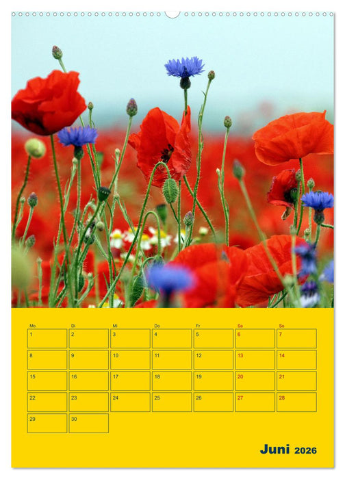 Sehnsuchtsort Ostseeinsel Poel (CALVENDO Premium Wandkalender 2026)