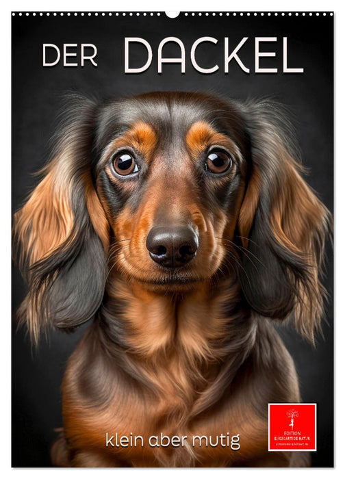 Der Dackel - klein aber mutig (CALVENDO Wandkalender 2026)
