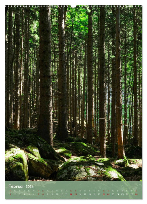 Voralpen (CALVENDO Wandkalender 2026)