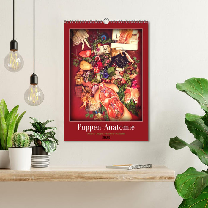 Puppen-Anatomie (CALVENDO Wandkalender 2026)