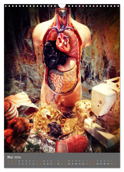 Puppen-Anatomie (CALVENDO Wandkalender 2026)