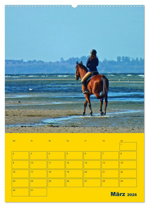 Sehnsuchtsort Ostseeinsel Poel (CALVENDO Wandkalender 2026)