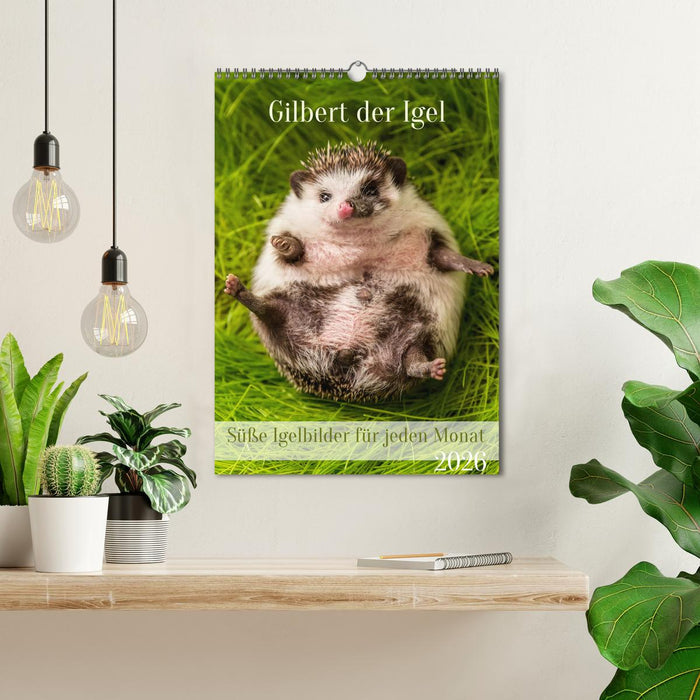Gilbert der Igel (CALVENDO Wandkalender 2026)
