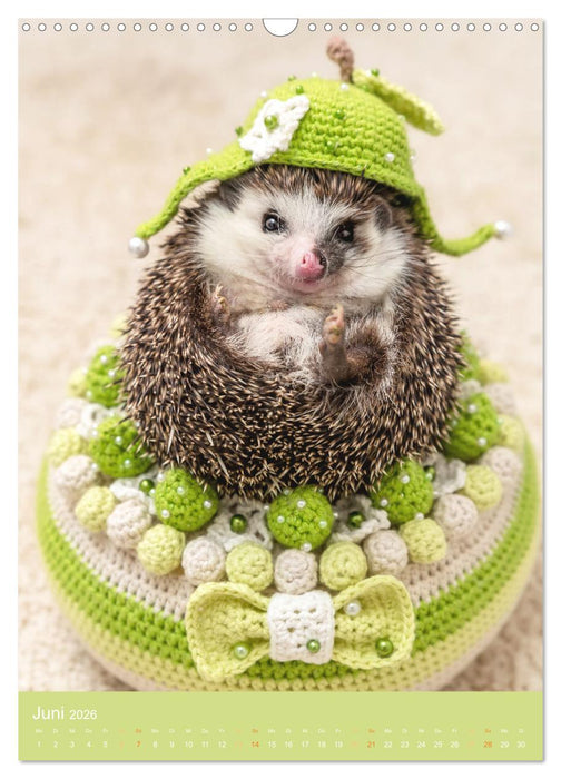 Gilbert der Igel (CALVENDO Wandkalender 2026)