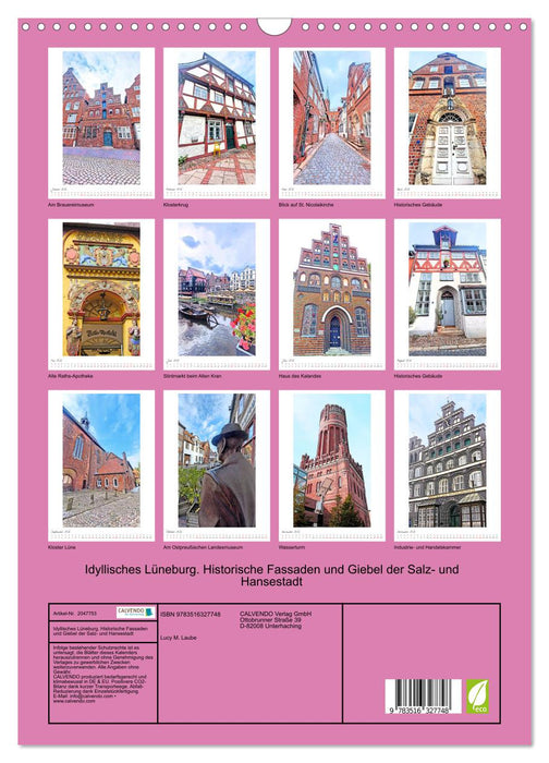 Idyllisches Lüneburg. Historische Fassaden und Giebel der Salz- und Hansestadt (CALVENDO Wandkalender 2026)