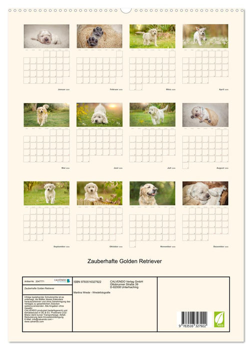 Zauberhafte Golden Retriever (CALVENDO Premium Wandkalender 2026)