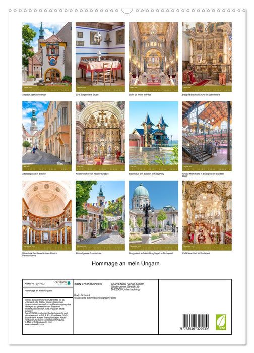 Hommage an mein Ungarn (CALVENDO Premium Wandkalender 2026)