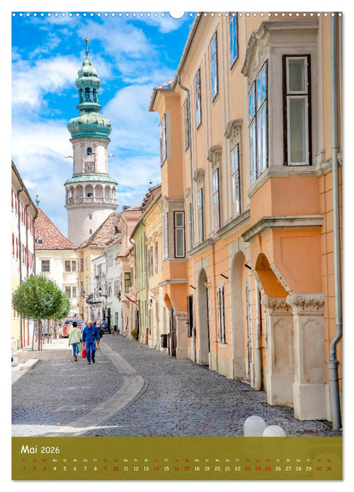 Hommage an mein Ungarn (CALVENDO Premium Wandkalender 2026)