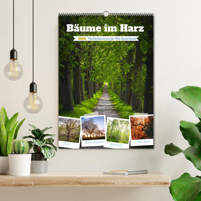 Bäume im Harz (CALVENDO Wandkalender 2026)