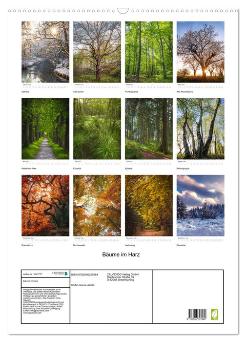 Bäume im Harz (CALVENDO Wandkalender 2026)