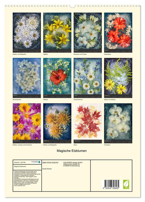 Magische Eisblumen (CALVENDO Premium Wandkalender 2026)