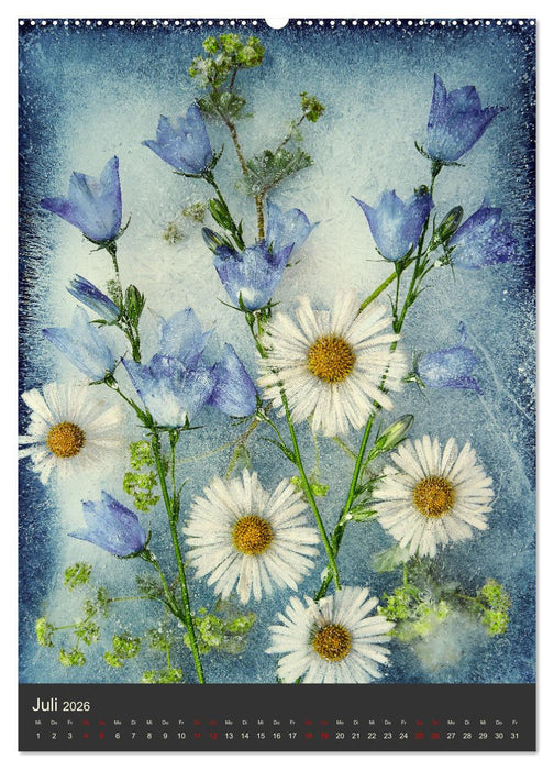 Magische Eisblumen (CALVENDO Premium Wandkalender 2026)