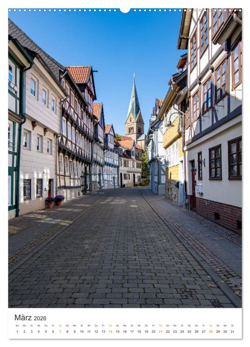 Stadt Wolfenbüttel (CALVENDO Wandkalender 2026)