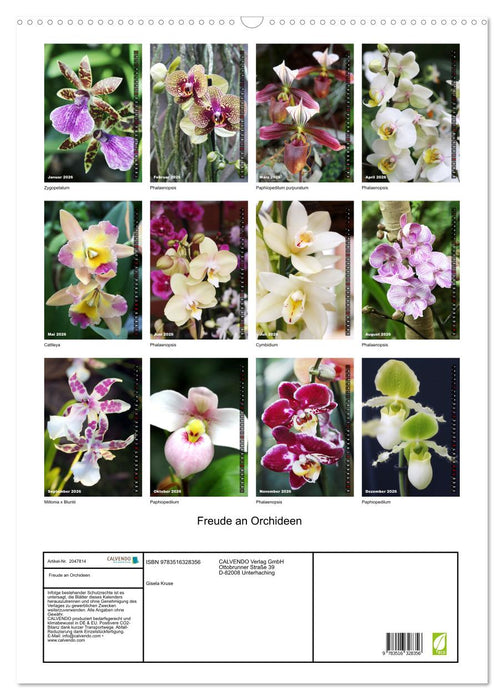 Freude an Orchideen (CALVENDO Wandkalender 2026)