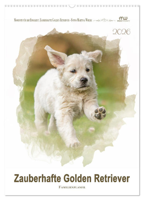 Zauberhafte Golden Retriever (CALVENDO Wandkalender 2026)