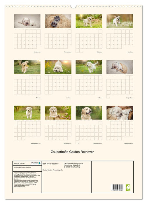 Zauberhafte Golden Retriever (CALVENDO Wandkalender 2026)