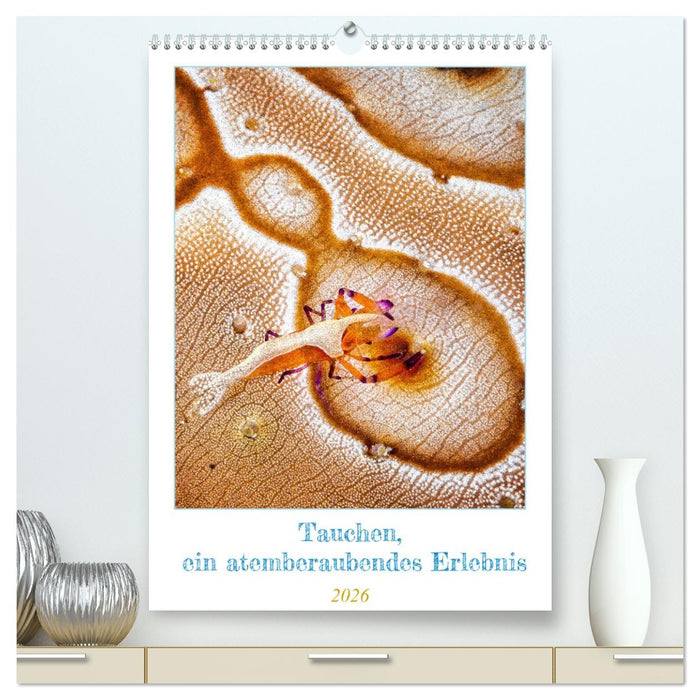 Tauchen, ein atemberaubendes Erlebnis (CALVENDO Premium Wandkalender 2026)