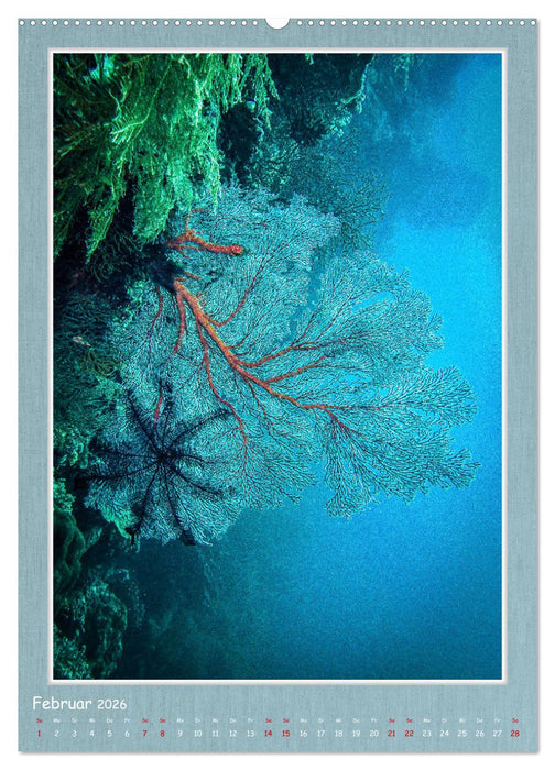 Tauchen, ein atemberaubendes Erlebnis (CALVENDO Premium Wandkalender 2026)