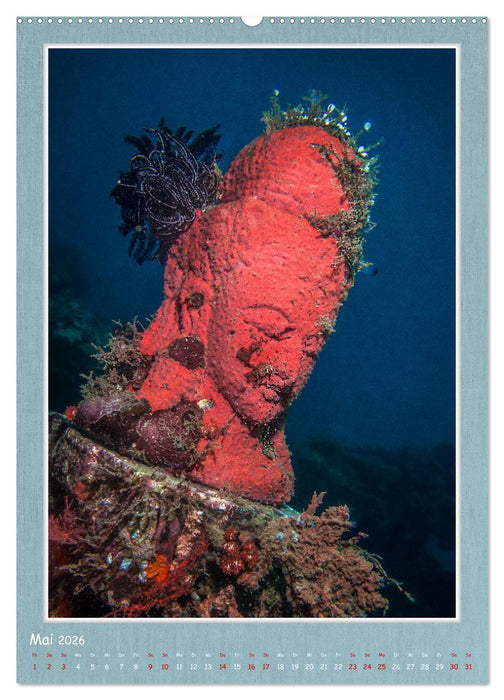 Tauchen, ein atemberaubendes Erlebnis (CALVENDO Premium Wandkalender 2026)
