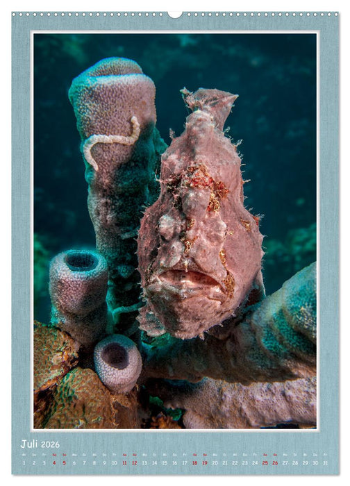 Tauchen, ein atemberaubendes Erlebnis (CALVENDO Premium Wandkalender 2026)