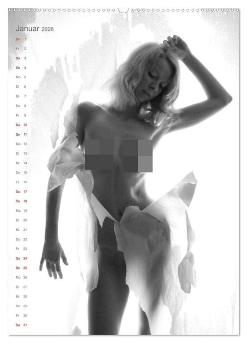 Papierakte (CALVENDO Premium Wandkalender 2026)