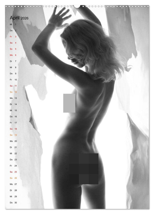 Papierakte (CALVENDO Premium Wandkalender 2026)