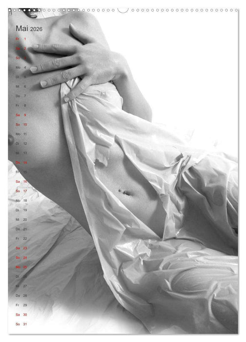 Papierakte (CALVENDO Premium Wandkalender 2026)