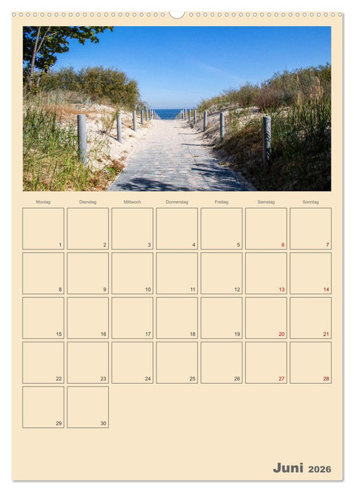 Usedom Ostsee - Terminplaner (CALVENDO Premium Wandkalender 2026)