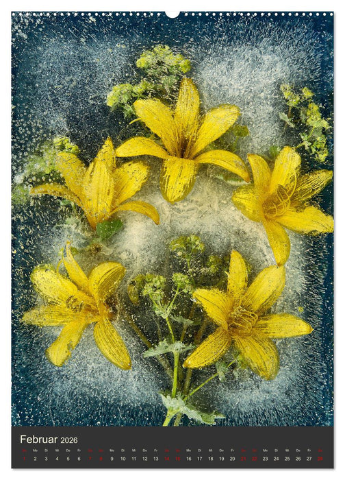 Magische Eisblumen (CALVENDO Wandkalender 2026)