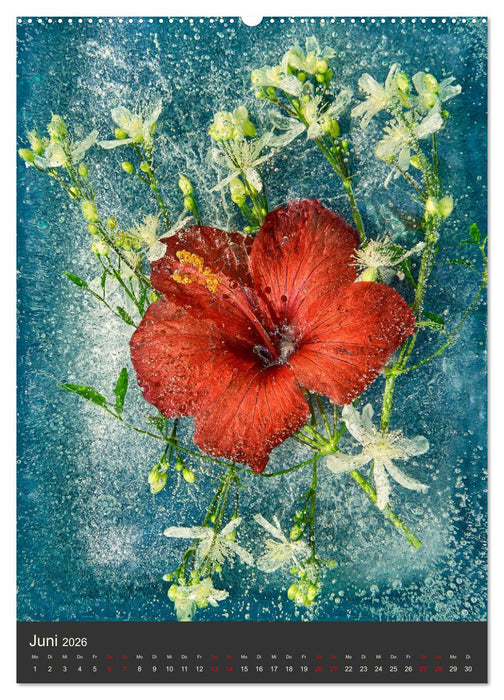 Magische Eisblumen (CALVENDO Wandkalender 2026)