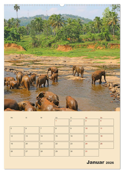 Sri Lanka - Terminplaner (CALVENDO Wandkalender 2026)