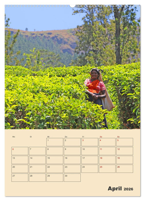 Sri Lanka - Terminplaner (CALVENDO Wandkalender 2026)