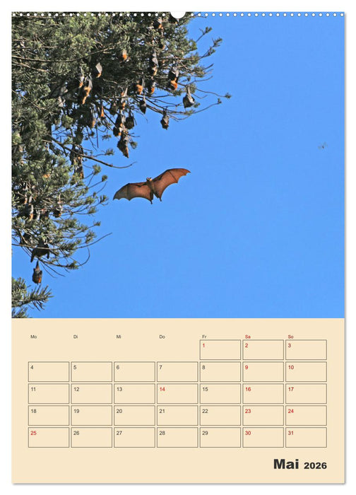 Sri Lanka - Terminplaner (CALVENDO Wandkalender 2026)