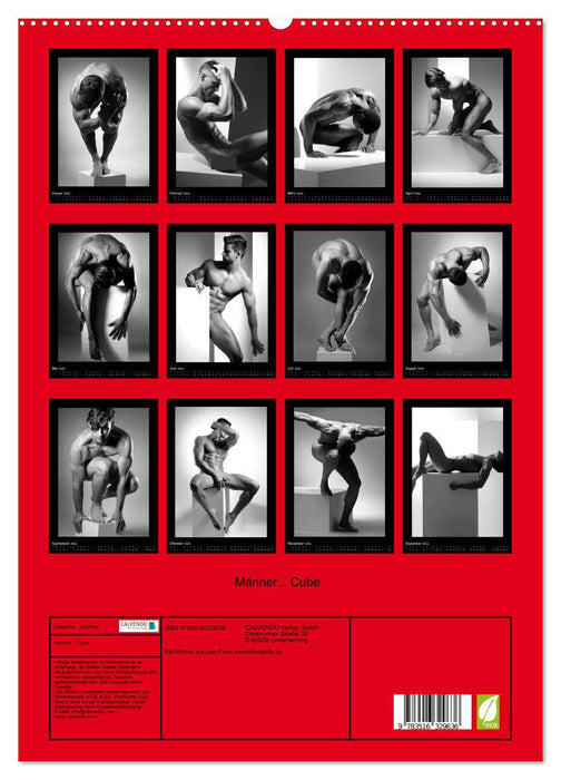 Männer... Cube (CALVENDO Premium Wandkalender 2026)