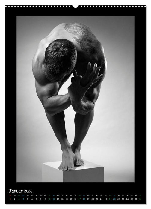Männer... Cube (CALVENDO Premium Wandkalender 2026)